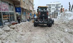 Ordu'da kar ve buzlanma nedeniyle 2 ilçede eğitime ara verildi
