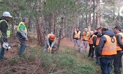 Orman işçileri Kazdağları'nda sınav için ter döktü