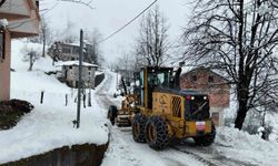Rize'de 21 köy yolu kar nedeniyle ulaşıma kapalı bulunuyor