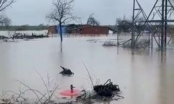 Sağanak Bursa'yı vurdu: Tarlalar göle döndü, hayvanlar mahsur kaldı