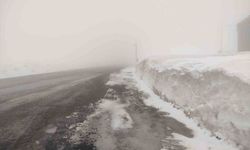 Sahara geçidinde yoğun sis ulaşımı olumsuz etkiliyor