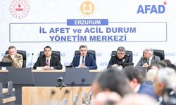 Sahipsiz hayvanlar yakın takipte