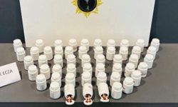 Samsun'da 3 ilçede uyuşturucu operasyonu