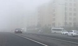 Şanlıurfa'da yoğun sis etkili oldu