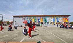 Sarıgöl'de 400 fıstık çamı toprakla buluştu