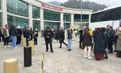 Sarp Sınır Kapısı'nda bayram tatili yoğunluğu