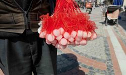 Şehir şehir dolaşarak kokulu kaya tuzu satıyor