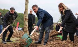 Şeyh Edebali'nin vefatının 700. yıl dönümünde 700 çınar toprakla buluştu