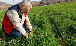 Simav'da tarımsal çalışmalar sürüyor