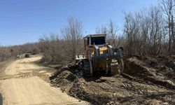 Sinop'a yeni orman nakliye güzergahı