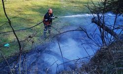 Sinop'ta yangın paniği