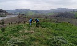 Sinop'ta yükümlülerden geleceğe nefes
