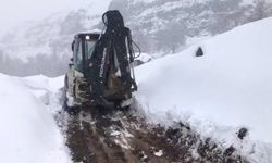 Şırnak'ta kar yolları kapattı