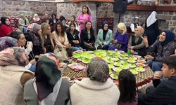 Siverek'te 8 Mart Dünya Kadınlar Günü, etkinlikle kutlandı