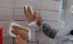 Su ürünleri üretimi yapılan tesislerde denetim