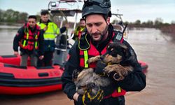 Sular altında kalan bağ evinde mahsur kalan iki köpeği belediye ekipleri kurtardı
