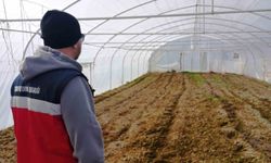 Tavşanlı'da KOBÜKS kapsamında sera kontrolleri