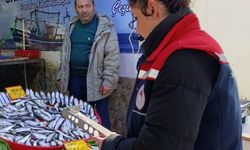 Tekirdağ'da su ürünleri denetimi aralıksız sürüyor