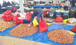 Tohumluk kuru soğanda üretim arttı, fiyat 150 liradan 100 liraya düştü