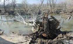 Tunca Nehri kıyısında toprak kayması: 9 yıl sonra gelen taşkınlar zemini etkiledi