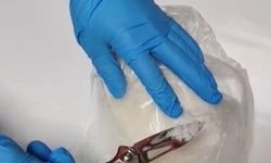 Tunceli'de uyuşturucu operasyonu: 1 kişi tutuklandı