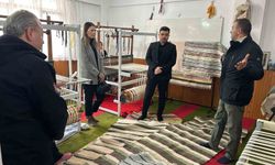 Türkeli'de geleneksel kilim dokumacılığı yaşatılıyor