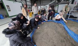 Ümraniye'den Orman Haftası'nda anlamlı etkinlik: Çocuklar tohum ekti