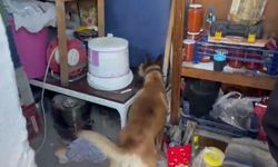 Uyuşturucu ticaretine 14 yıl hapis