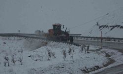 Van'da 21 yerleşim yerinin yolu ulaşıma kapandı