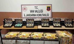 Van'da gümrük kaçakçılığı operasyonu