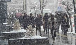 Van'da kar yağışı ve sis etkili oluyor