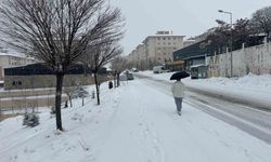 Van'da mart ayı kapıdan baktırdı: Kar yağışı ulaşımı durdurdu