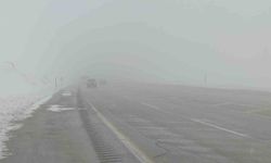 Van'da sis ve kar yağışı yüksek kesimlerde etkiliyor