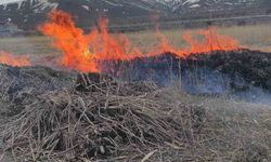 Van'ın Gevaş ilçesinde anız yangını