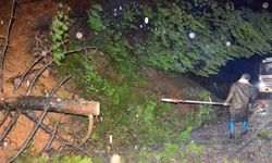 Yağış ağaçları devirdi, yol kısa sürede açıldı