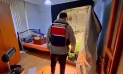Yalova'da evinde uyuşturucu yetiştiren şüpheli yakalandı
