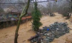 Yalova'da sağanak yağışta dereler taştı, 5 büyükbaş hayvan telef oldu