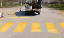 Yaya geçidi ve kasis çizgileri yenilendi