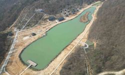 Yaylagöl kamp merkezinde inceleme