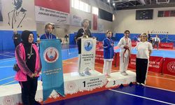 'Yıldız Kız-Erkek Taekwondo İl Birinciliği' tamamlandı