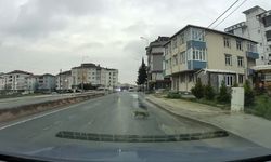 Yoldan geçerken arabanın altında kalan kedi koşarak kaçtı: O anlar araç kamerasına saniye saniye yansıdı