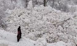 Yüksekova'da aynı bölgede ikinci çığ