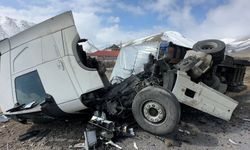 Yüksekova'da İran plakalı tır devrildi: 1 yaralı