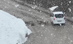 Yüksekova'da kar yağışı ve sis