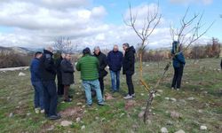 Yuntdağı'nda kırsal kalkınma atağı