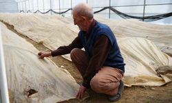 76 yaşındaki Bayburtlu üretici ata tohumları için zirai don nöbetinde