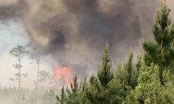 ABD'de orman yangınları: 54 ev ve 27 bin dönümlük alan küle döndü