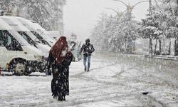 Ahlat'ta nisan karı etkili oldu