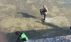 Akıntıya kapılan balıkları yakalamak için birbirleriyle yarıştılar