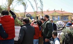 Alaca Belediyesi vatandaşlara 2 bin fidan dağıttı